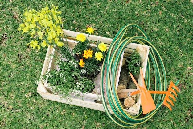 Plastikowe obrzeża ogrodowe – trwałe i praktyczne rozwiązanie