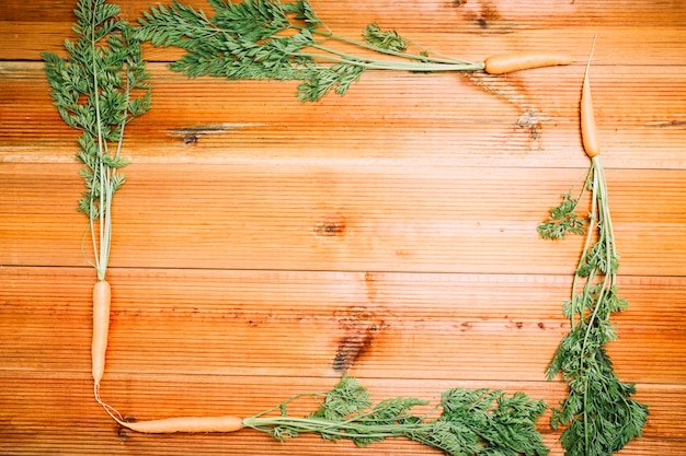 Sosna naturalny wybór do ogrodu i wnętrz