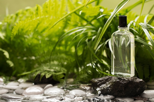 Perfumy Chodakowska – Naturalny Zapach Pełen Energii