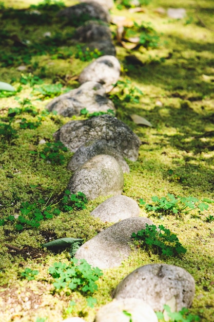 Kamienie ogrodowe skutecznie podkreślają naturalne piękno ogrodu